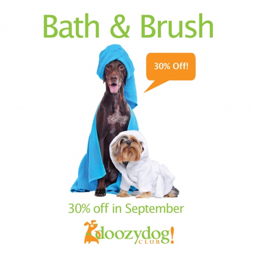 30% Off Bath & Brush in September